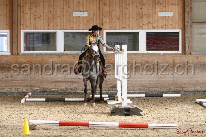 26-ApHC GT_243.jpg